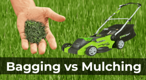 袋装vs mulching